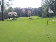 Golf Club Alpino Di Stresa